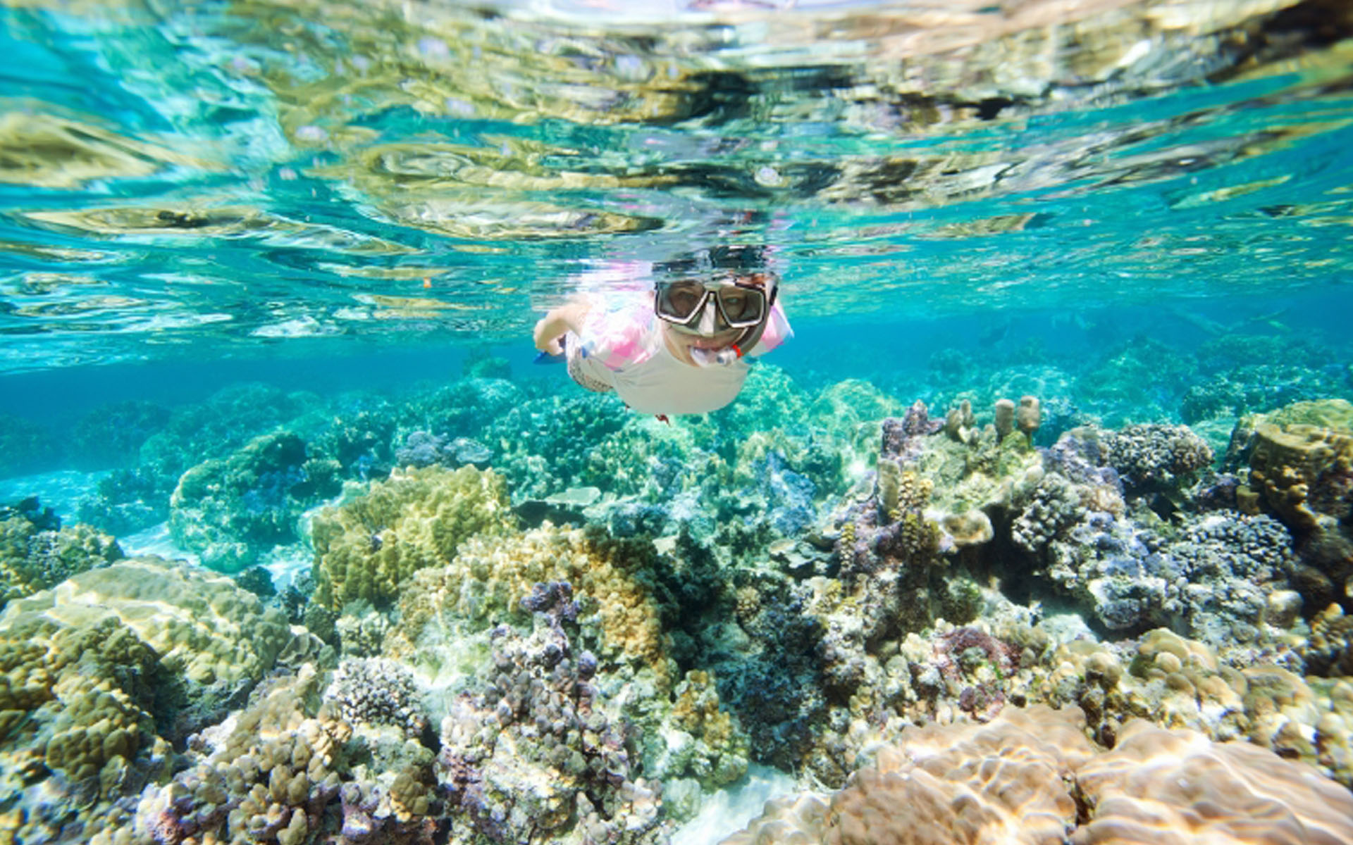 Snorkeling and diving in Greece